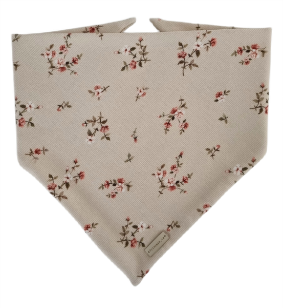 20230817_115857photoAid-removed-background.png